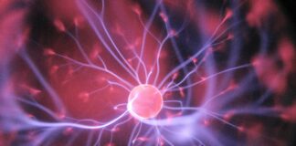 Epitalón (Guía Péptidos): el péptido de la longevidad y la regeneración celular Epitalón (Guía Péptidos) el péptido de la longevidad y la regeneración celular